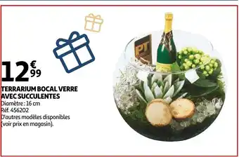 Auchan Terrarium Bocal Verre avec Succulentes offre