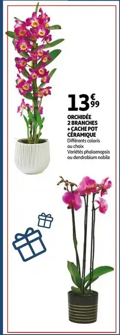Auchan Orchidée 2 Branches + Cache Pot Céramique offre
