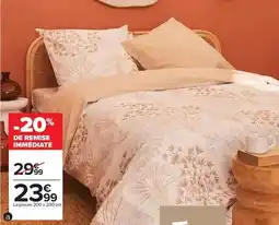 Carrefour Durable - thon bloc offre