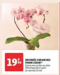 Auchan ORCHIDÉE 2 BRANCHES FORME COEUR offre