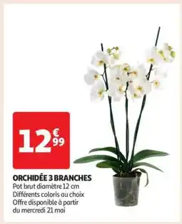 Auchan Orchidée 3 Branches offre