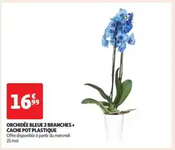 Auchan ORCHIDÉE BLEUE 2 BRANCHES + CACHE POT PLASTIQUE offre
