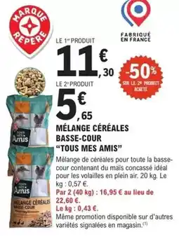 Match Carrefour - mozza sticks sensation offre