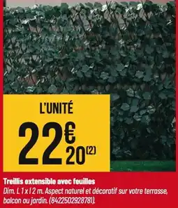 Tridôme Treillis extensible avec feuilles offre