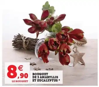 Hyper U Bouquet de 3 Amaryllis et Eucalyptus offre