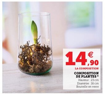 Hyper U Composition de Plantes offre
