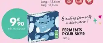 Guy Demarle Ferments pour skyr offre