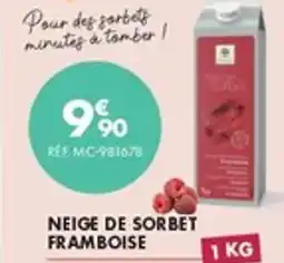 Guy Demarle Neige de sorbet framboise offre
