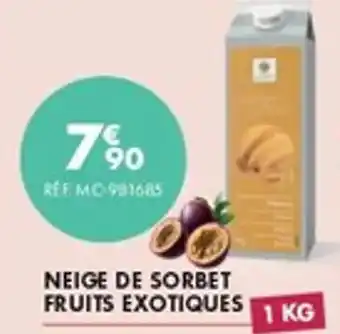 Guy Demarle Neige de sorbet fruits exotiques offre