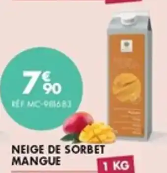 Guy Demarle Neige de sorbet mangue offre
