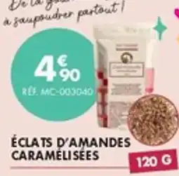 Guy Demarle Éclats d'amandes caramélisées offre