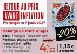 Thiriet Mélange de fruits rouges offre