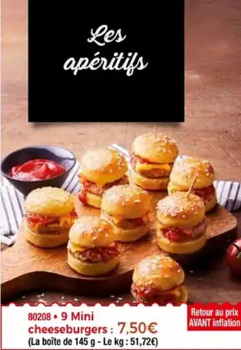 Thiriet 9 Mini cheeseburgers offre