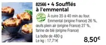 Thiriet 4 soufflés à l'emmental offre