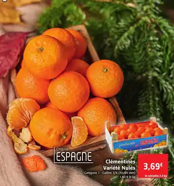Clémentines Variété Nules