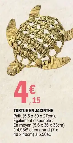 E.Leclerc TORTUE EN JACINTHE offre