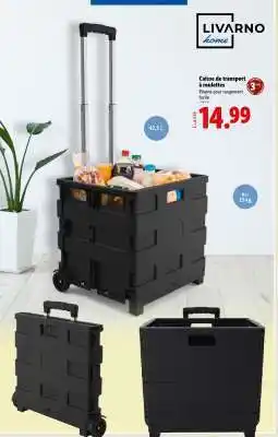 Caisse de transport à roulettes