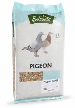 Gamm vert Pigeon Super Belcanto offre