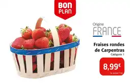 Colruyt Fraises rondes de Carpentras offre