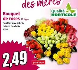 Norma Qualité Horticole Bouquet de roses offre