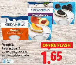 Lidl Eridanous Yaourt à la grecque offre