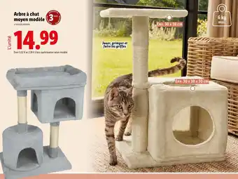 Lidl Zoofari Arbre à chat moyen modèle offre