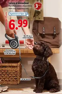 Lidl zoofari Laisse à enrouleur offre