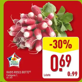 ALDI Radis roses botte offre