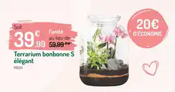 Botanic Terrarium bonbonne S élégant offre