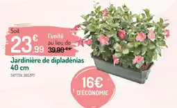 Botanic Jardinière de dipladénias offre