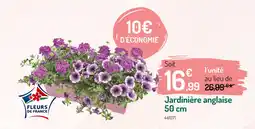 Botanic Jardinière anglaise offre
