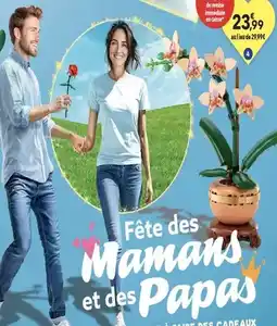 JouéClub Lego - l'orchidee miniature offre