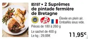 Thiriet 2 suprêmes de pintade fermière de bretagne offre