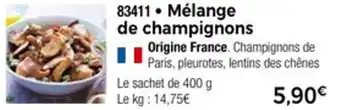 Thiriet Mélange de champignons offre