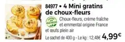 Thiriet 4 mini gratins de choux-fleurs offre