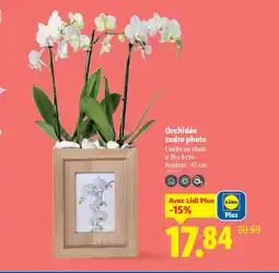 Lidl Orchidée cadre photo offre