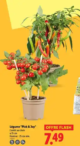Lidl Légume Pick & Joy offre