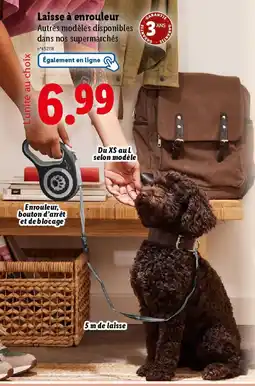 Lidl Laisse à enrouleur offre