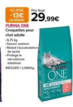 Costco PURINA ONE Croquettes pour chat adulte offre
