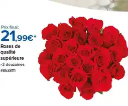 Costco Roses de qualité supérieure offre
