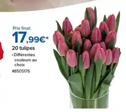 Costco 20 tulipes offre
