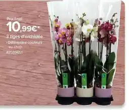 Costco 3 tiges d'orchidée offre