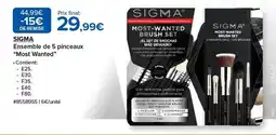 Costco SIGMA Ensemble de 5 pinceaux offre