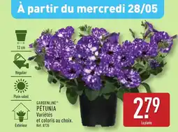 ALDI GARDENLINE Pétunia offre