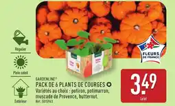 GARDENLINE Pack de 6 plants de courges