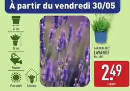 ALDI GARDENLINE Lavande offre