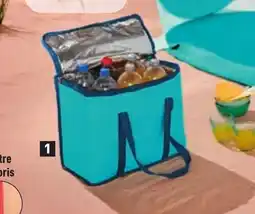 ALDI LIVE IN STYLE Sac isotherme offre