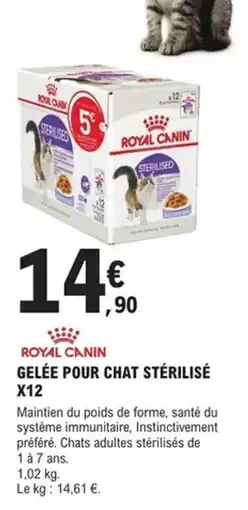 E.Leclerc Jardi ROYAL CANIN Royal canin gelée pour chat stérilisé x12 offre