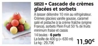 Thiriet Cascade de crèmes glacées et sorbets offre