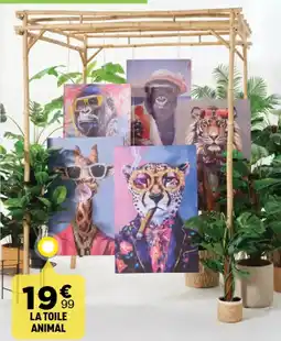 Centrakor La toile animal offre
